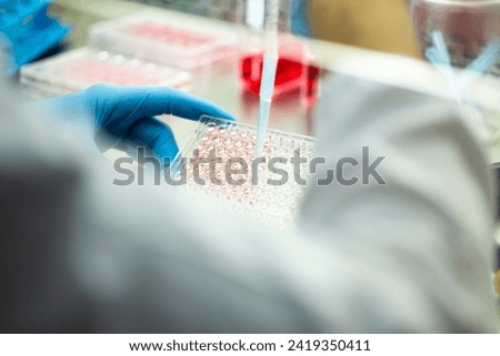 cell culture at the medicine, medical and cell culture laboratory, science research