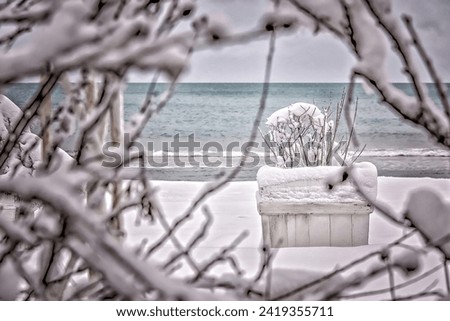 A combination of sea and winter splendor. The beach is covered in fresh snow. High quality photography.