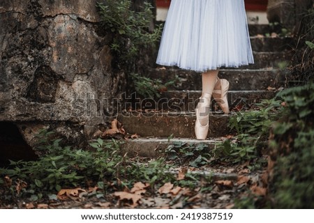 A ballet dancer is elegantly descending the rustic and abandoned stairs. A prima ballerina is descending old stairs at pointe on tiptoes. Contrast of ruined exterior and beauty and gracious elements. Royalty-Free Stock Photo #2419387519