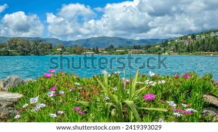flowers in early sunny fresh morning. Vintage autumn landscape background. colorful beautiful fall flowers magical. colorful nature with beautiful flowe garden 