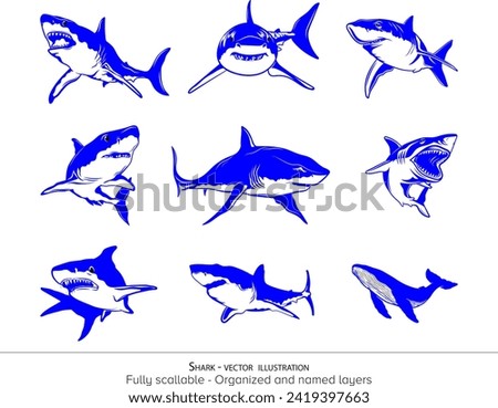 Set of whale shark. vector illustration. Colored illustration. Duo tone. Silhouette of whale Shark. A Colossal Canvas of Oceanic Splendor. set of fishes