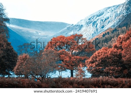 Beautiful lake, mountain hd colourful wallpaper