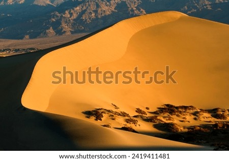 An early morning view of Mesquite Flat sand dunes near Stovepipe Wells in Death Valley National Park, California. Royalty-Free Stock Photo #2419411481