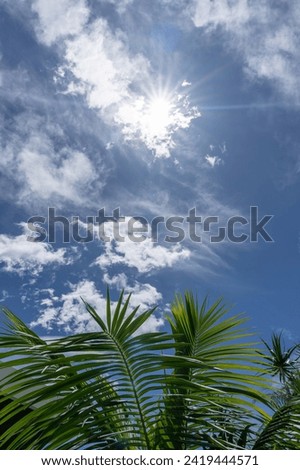 Sunburst through clouds in blue sky above green palm fronds for nature background.