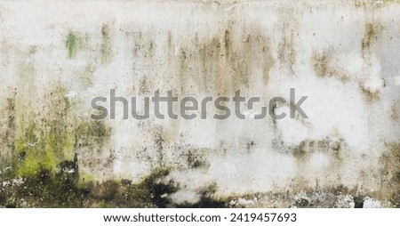 Green moss and rain stains on cement wall Royalty-Free Stock Photo #2419457693