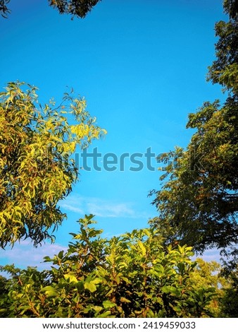 Morning vibes or morning atmosphere in the city park in Kebumen with green trees and bright blue sky