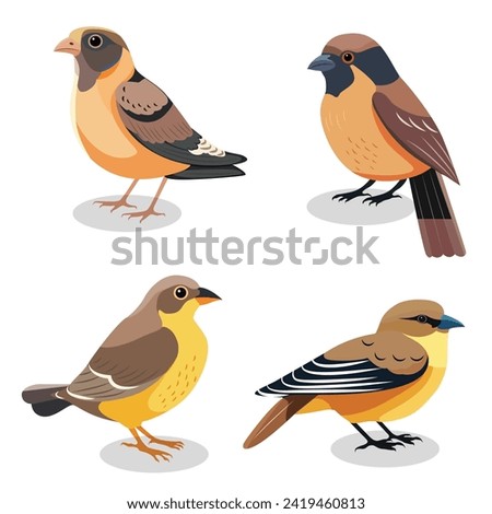 various types of ornamental birds, vector design set