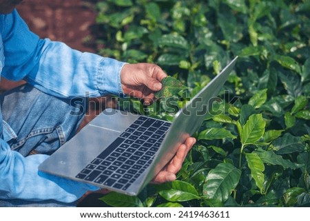 Smart farmer hands using laptop eco green farm sustainable quality control. Close up Hand typing laptop computer quality control plant tree. Farmer use technology checking eco Farmland biotechnology
