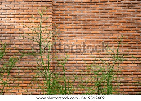 Decorative plants placed at the corners of the brick wall beautifully decorate the restaurant's exterior design.
