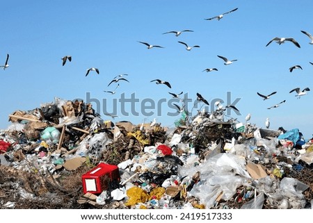 Mountains of waste in landfills echo our throwaway culture. Urgent need for sustainable choices to tackle environmental repercussions.




 Royalty-Free Stock Photo #2419517333
