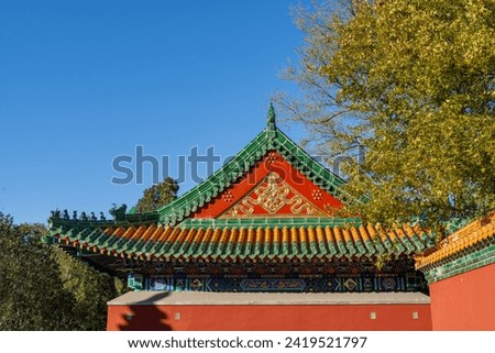 Beautiful Chinese architectural ornament adorning a triangular roof side of the lower palace at a historical traditional palace used by the Chinese Royal Families.