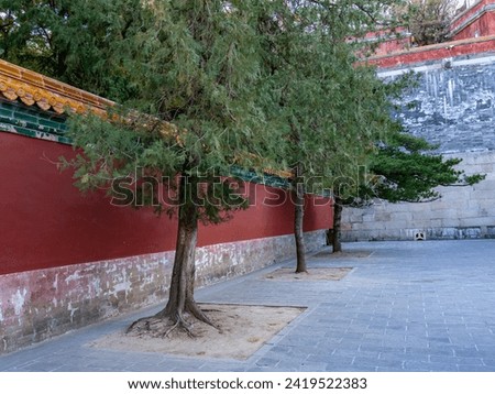 A row of three trees adorning a lower section of a small stone yard at a historical palace used by the Chinese Royal Families.