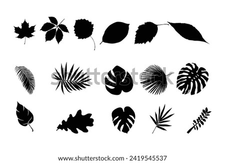 Set of Tropical leaf silhouette icon logo template vector illustration design Royalty-Free Stock Photo #2419545537