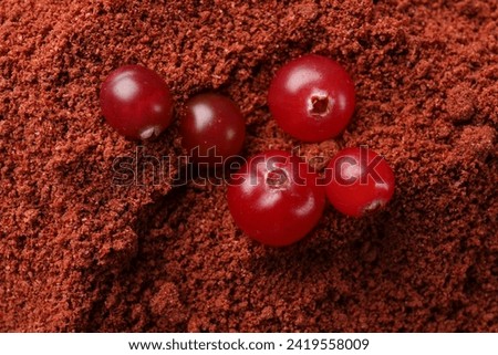 Fresh berries on cranberry powder, top view