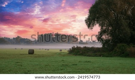 Scene of sunset on the field with young rye or wheat in the summer with a cloudy sky background. Landscape. High quality photo