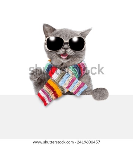 Happy cat wearing sunglasses and knitted warm woolen scarf looks above empty white board. isolated on white background