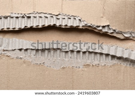 torn packaging cardboard material close-up