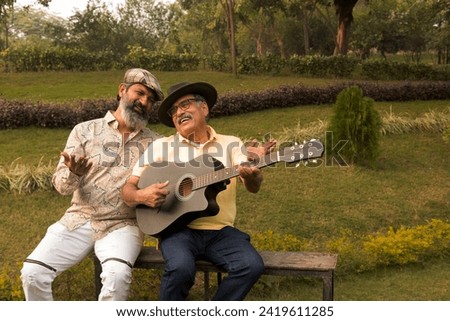 Two carefree senior male friends playing guitar and having fun at park