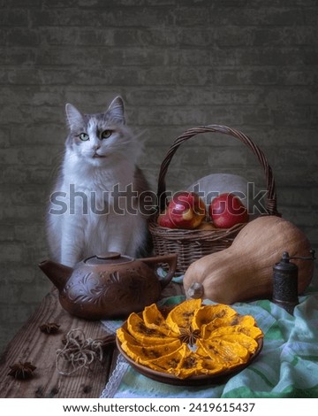 Still life with candied pumpkin and a curious cat