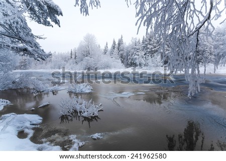 Winter scenery from Finnish nature. Koiteli, Kiiminki, Oulu, Finland. Landscape photo from frosty winter paradise. Travel photo. Background for your desktop or to posters.