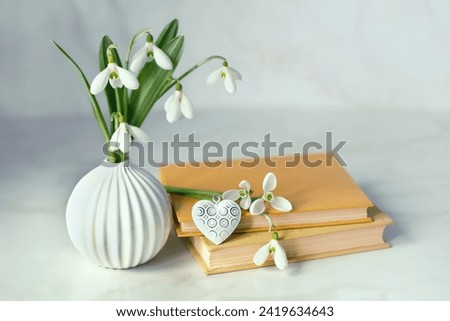 Bouquet of Snowdrop flowers, heart decor and books on table, abstract light background. symbol of spring season. Relaxation, reading time, harmony of nature. romantic composition. template for design