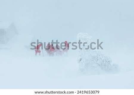 Paramedic team of emergency service helping in mountains in winter during blizzard. Selective focus on snowy tree. Themes rescue in extreme weather.
 Royalty-Free Stock Photo #2419653079