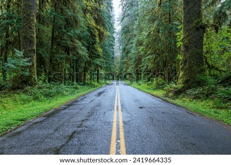 Road to Hoh Rain Forest : Olympic National Park : Washington USA Royalty-Free Stock Photo #2419664335