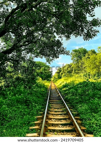 Along the railway line. A very beautiful picture. The picture speaks.