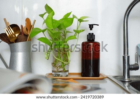 selective focus of soap bottle pump and Photos plant beside the kitchen sink 