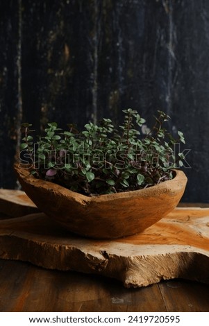 selective focus of plants in a wooden bowl