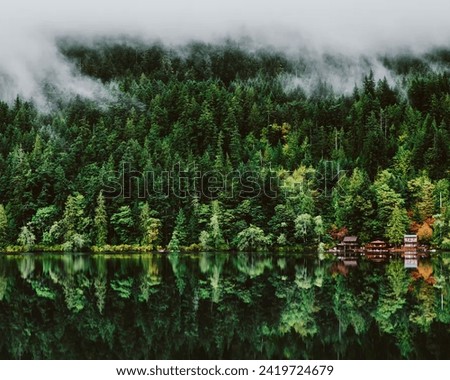 Very Beautiful Olympic National Park Royalty-Free Stock Photo #2419724679
