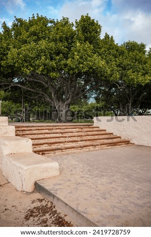 Red Brick Beach Stairs with a Green Tree Backdrop.