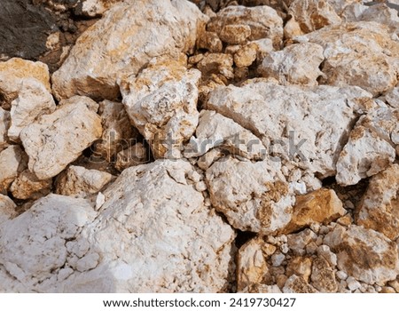 A photo of limestone rocks that look like they are merging.