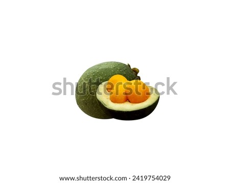 Caryocar brasiliense or Pequi fruits is used for food and medicinal purposes. Royalty-Free Stock Photo #2419754029