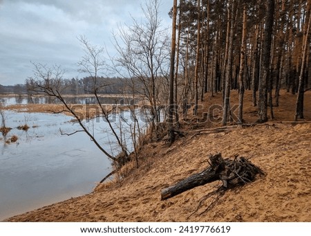 A wild and rushing river in central Poland.