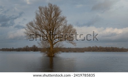 The flooded floodplains and the many hiking trails during weeks of heavy downpour, caused by climate change, near the rain river IJssel in the province of Overijssel, the Netherlands Royalty-Free Stock Photo #2419785835