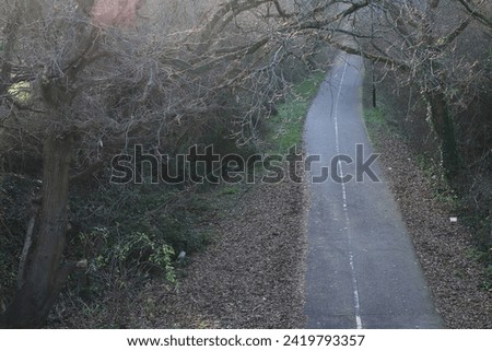 A cycleway and footpath viewed from above with trees and foliage to either side.