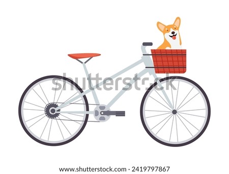 Cute Corgi dog is sitting in a bicycle basket, animal friendly sign. Hand drawn vector illustration in flat design, isolated on white background