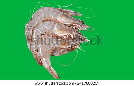Prawns in green background, shrimp in red, seafood