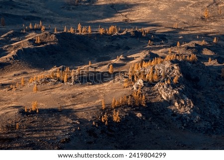 Golden autumn. Picturesque sunset light illuminates grove of larch trees on rocky slope. Moment of heyday of fall season in the mountains Altai region. Perfect image for wall, screen. Scenic artwork.