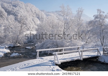 Breathtaking winter landscape in sunny light at the foot of Rodna Mountains, Transylvania, Romania Royalty-Free Stock Photo #2419817121