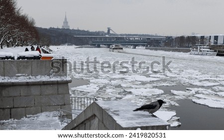 Embankment of the Moscow river with blocks of ice and birds on the surface of the water