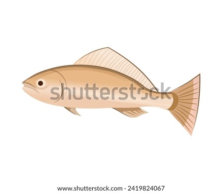 Fish of colorful set. This illustration offers a visual feast of vibrant and lively fish, beautifully designed in a cartoon style against a clean white background. Vector illustration.