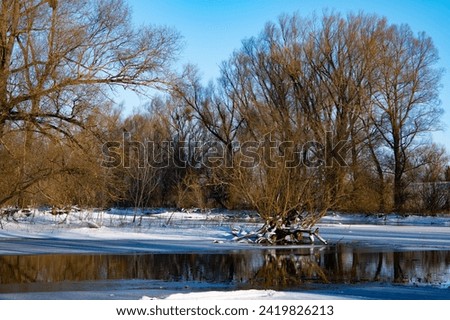 Winter landscape, floodplains of the Narew River in Poland