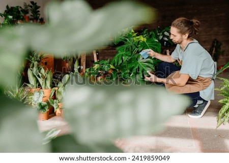 Experienced adult floriculturist dusting, tending to the leaves of potted plants in the verdant interior of a home or florist's shop. Royalty-Free Stock Photo #2419859049