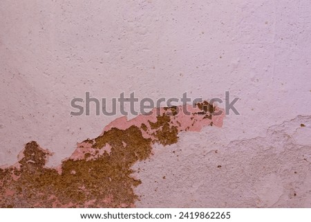 Macro photography of the section of an old wall with the peeled paint, in a farm in the eastern Andes mountains of central Colombia.