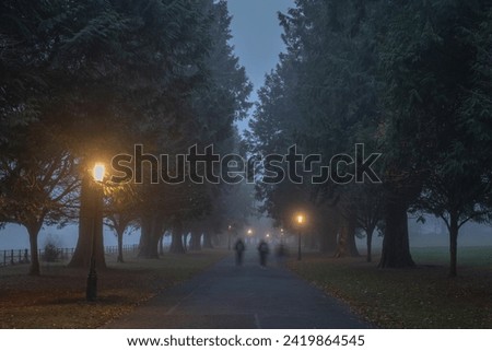 Silhouette of blurred people that walks in thick fog, on road surrounded by trees and illuminated by street lamps in Phoenix Park, Dublin, Ireland