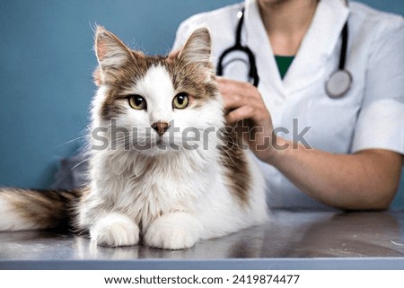 Veterinarian examining pet on table in veterinary clinic, Veterinary caring of a cute cat, healthcare of your pet. Pet Health Check Up. Caring Veterinarian Examining And Comforting a Cat During Royalty-Free Stock Photo #2419874477
