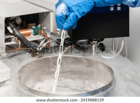 Embryologists a Liquid Nitrogen Bank Containing Sperm and Eggs Samples. ivf  in vitro fertilization, egg freezing. Sperm cryopreservation. Sperm freezing. Royalty-Free Stock Photo #2419888139