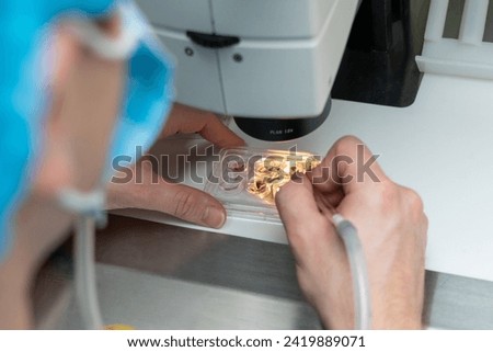 Embriologist putting sperm sample to examine under microscope or collecting in vitro cultured embryos for biopsy. Reproductive medicine clinic. Artificial insemination. Artificial conception clinic. Royalty-Free Stock Photo #2419889071